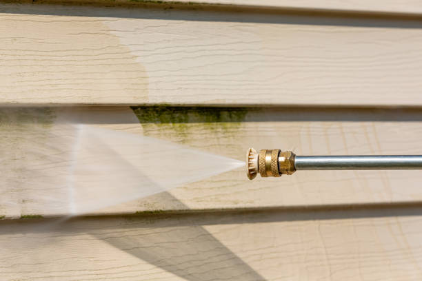 Best Local Pressure Washing Services  in Homer, MI